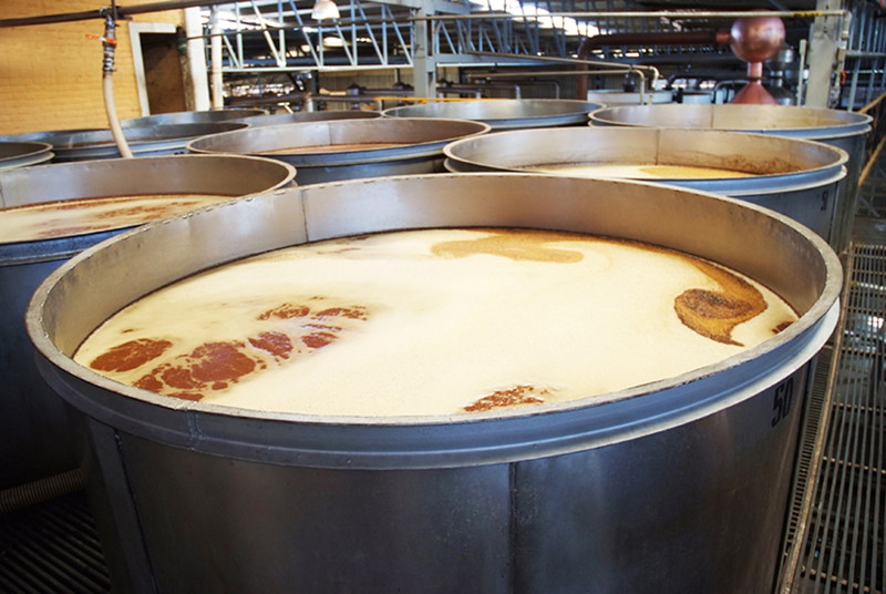 Fermentación, un proceso natural